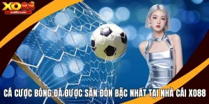 Cá Cược Bóng Đá