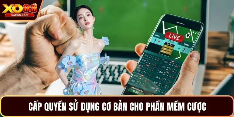 Cấp quyền sử dụng cơ bản cho phần mềm cược