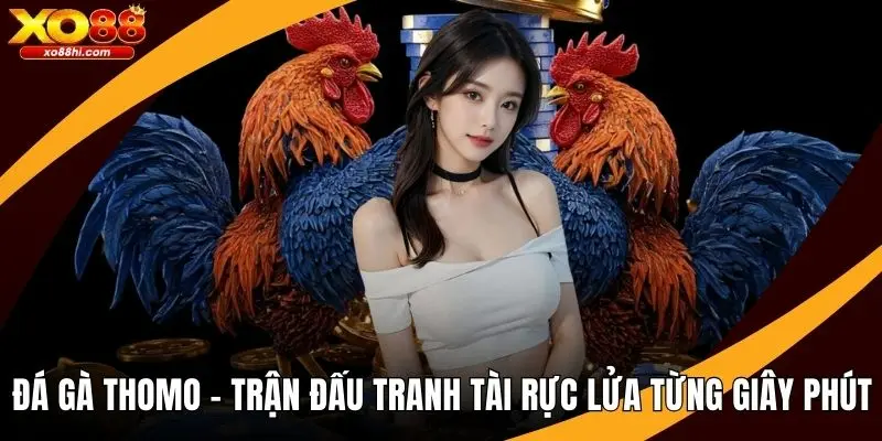 Đá Gà Thomo