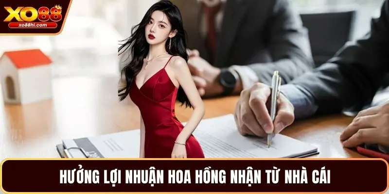 Hưởng lợi nhuận hoa hồng nhận từ nhà cái
