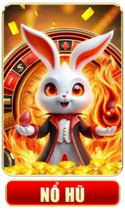 imgi 6 nohu 4 180x300 1