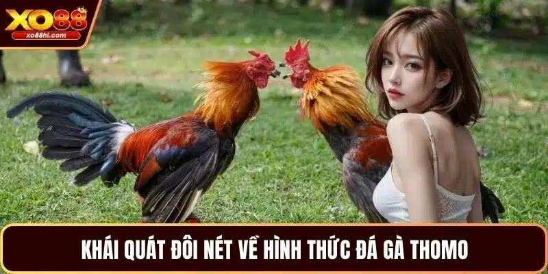 Khái quát đôi nét về hình thức đá gà Thomo