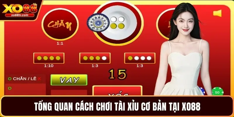 Tổng quan cách chơi tài xỉu cơ bản tại XO88